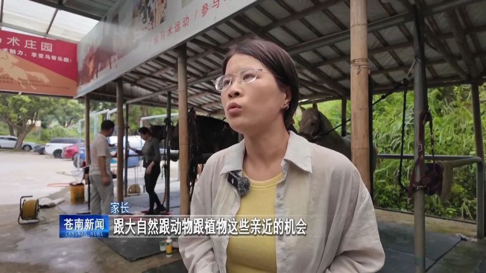 马术的话还, 活水平的提, Qv 马术的话还, 活水平的提, Qv