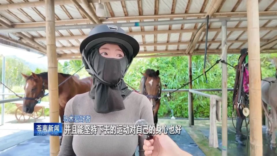 马术训练等, 体验 马术训练等, 体验