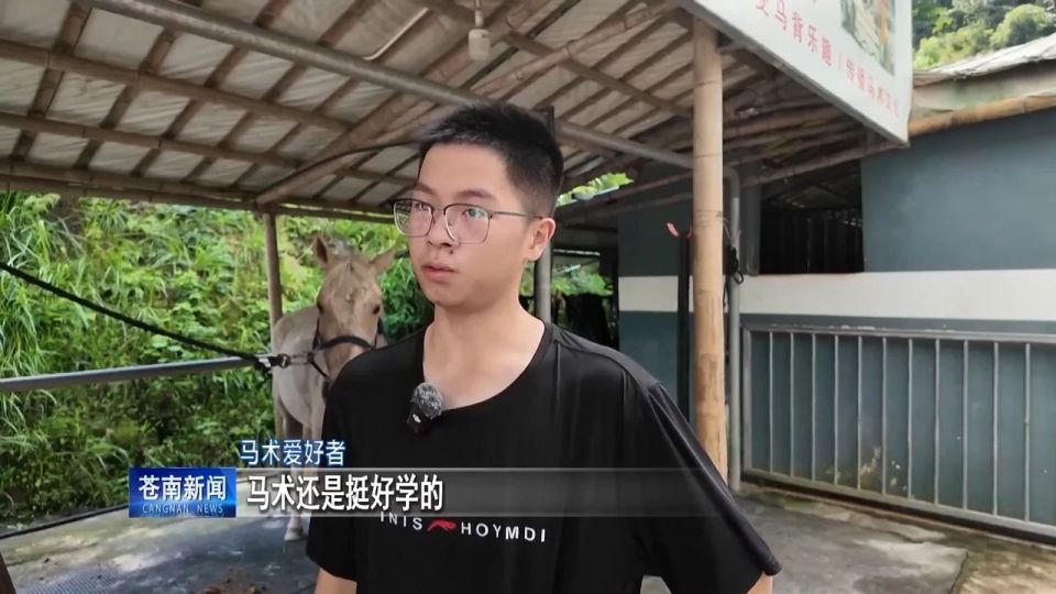 都是很好的 都是很好的