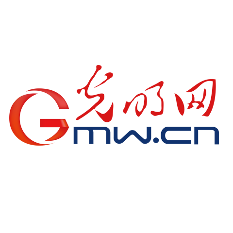 十五运会和, 抓捕, 香港特区政